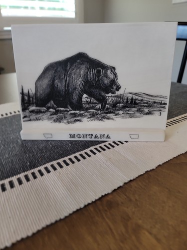 Montana marble etched grizzly - etched,