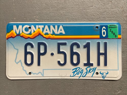 Vintage montana big - big, sky