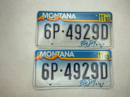 1993 montana license plate - license,