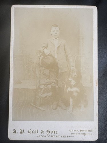 Helena montana ball african - helena,